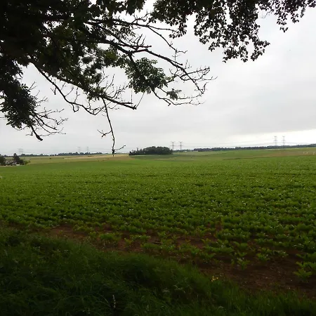 L'ancyze בית כפרי